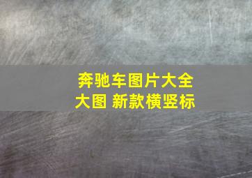 奔驰车图片大全大图 新款横竖标